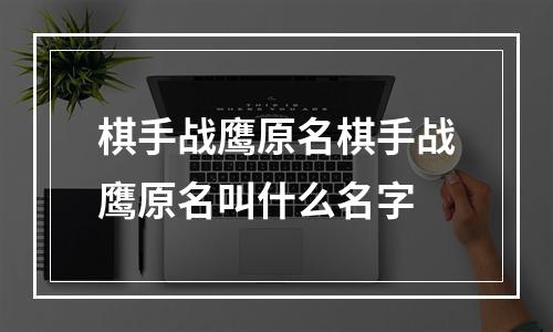 棋手战鹰原名棋手战鹰原名叫什么名字