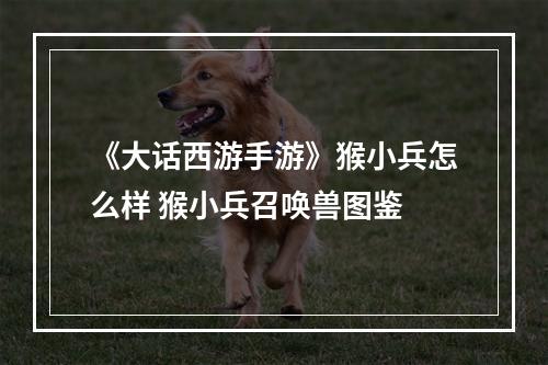 《大话西游手游》猴小兵怎么样 猴小兵召唤兽图鉴