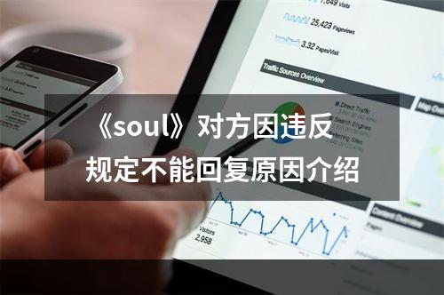 《soul》对方因违反规定不能回复原因介绍