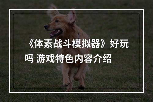 《体素战斗模拟器》好玩吗 游戏特色内容介绍