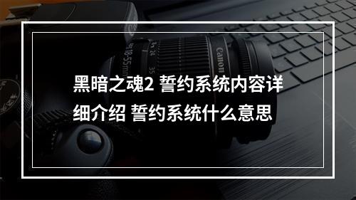 黑暗之魂2 誓约系统内容详细介绍 誓约系统什么意思