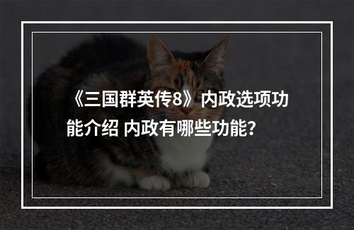 《三国群英传8》内政选项功能介绍 内政有哪些功能？