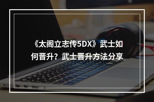 《太阁立志传5DX》武士如何晋升？武士晋升方法分享