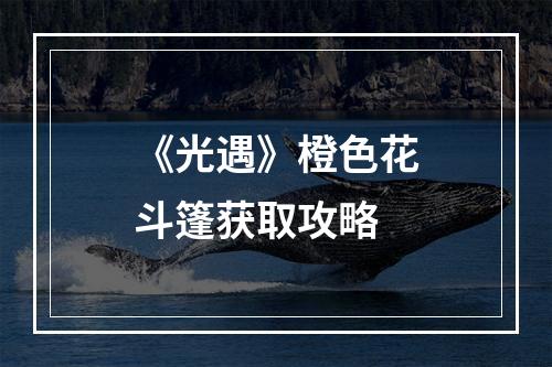 《光遇》橙色花斗篷获取攻略