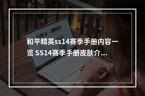 和平精英ss14赛季手册内容一览 SS14赛季手册皮肤介绍