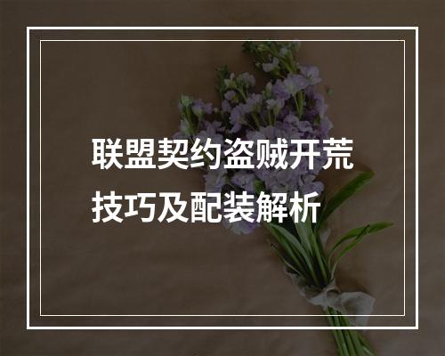 联盟契约盗贼开荒技巧及配装解析