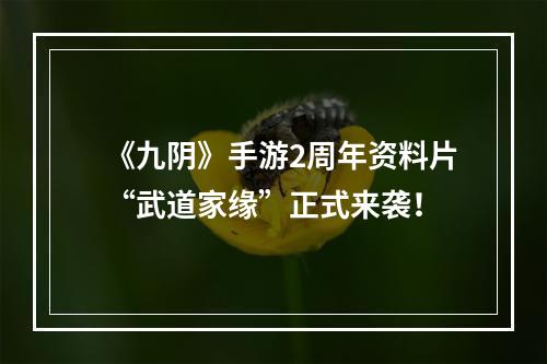 《九阴》手游2周年资料片“武道家缘”正式来袭！