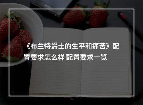 《布兰特爵士的生平和痛苦》配置要求怎么样 配置要求一览