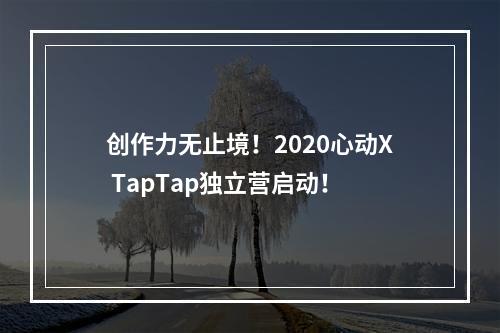 创作力无止境！2020心动X TapTap独立营启动！