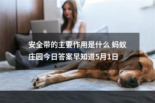 安全带的主要作用是什么 蚂蚁庄园今日答案早知道5月1日