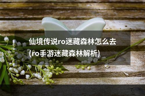 仙境传说ro迷藏森林怎么去(ro手游迷藏森林解析)