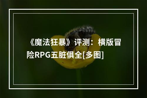 《魔法狂暴》评测：横版冒险RPG五脏俱全[多图]