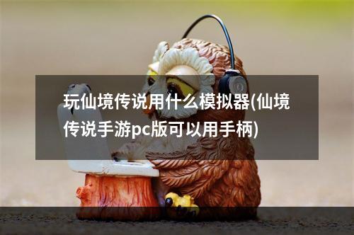 玩仙境传说用什么模拟器(仙境传说手游pc版可以用手柄)