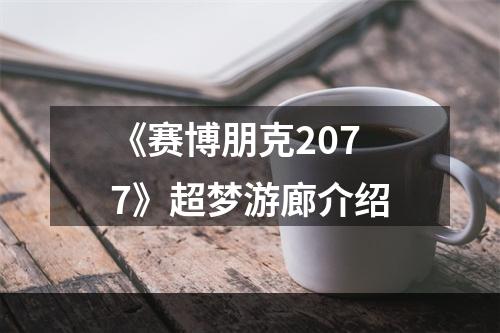 《赛博朋克2077》超梦游廊介绍