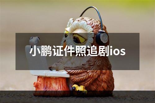 小鹏证件照追剧ios