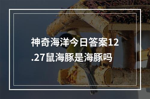 神奇海洋今日答案12.27鼠海豚是海豚吗