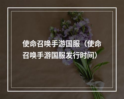 使命召唤手游国服（使命召唤手游国服发行时间）