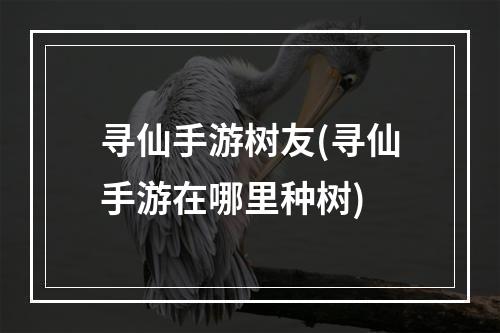 寻仙手游树友(寻仙手游在哪里种树)