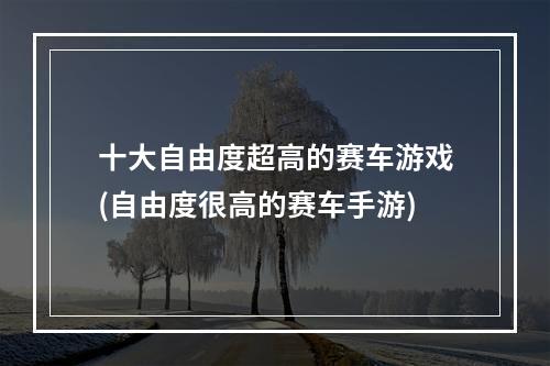 十大自由度超高的赛车游戏(自由度很高的赛车手游)