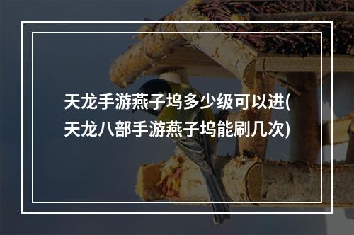 天龙手游燕子坞多少级可以进(天龙八部手游燕子坞能刷几次)