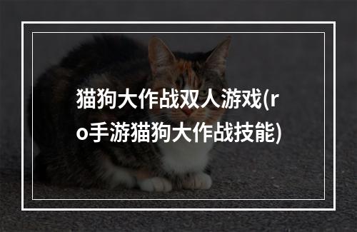 猫狗大作战双人游戏(ro手游猫狗大作战技能)