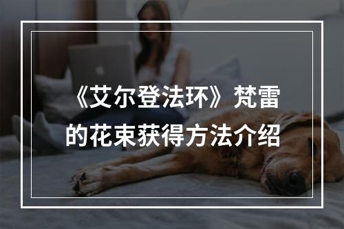 《艾尔登法环》梵雷的花束获得方法介绍