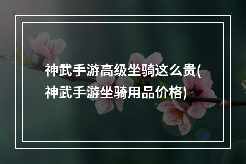 神武手游高级坐骑这么贵(神武手游坐骑用品价格)