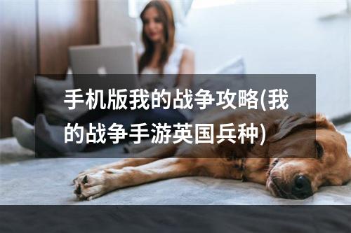 手机版我的战争攻略(我的战争手游英国兵种)