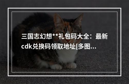 三国志幻想**礼包码大全：最新cdk兑换码领取地址[多图]