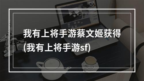 我有上将手游蔡文姬获得(我有上将手游sf)