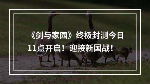 《剑与家园》终极封测今日11点开启！迎接新国战！