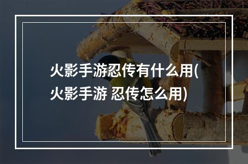 火影手游忍传有什么用(火影手游 忍传怎么用)