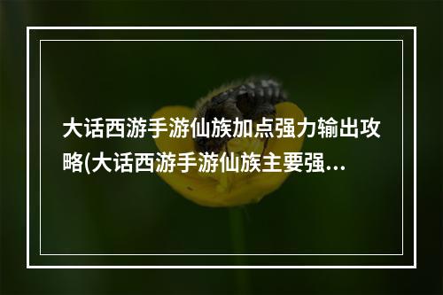 大话西游手游仙族加点强力输出攻略(大话西游手游仙族主要强克什么)