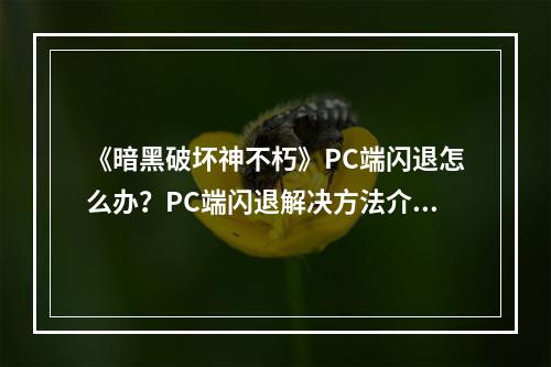 《暗黑破坏神不朽》PC端闪退怎么办？PC端闪退解决方法介绍