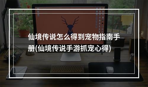 仙境传说怎么得到宠物指南手册(仙境传说手游抓宠心得)