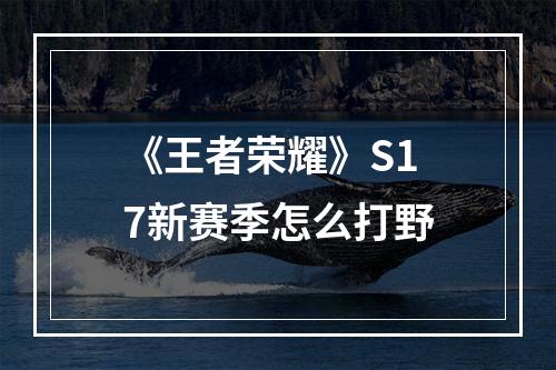 《王者荣耀》S17新赛季怎么打野