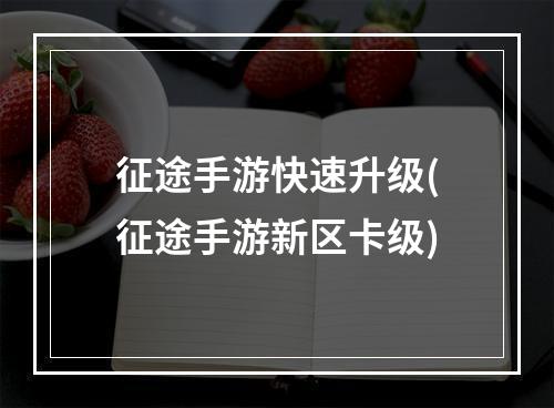 征途手游快速升级(征途手游新区卡级)