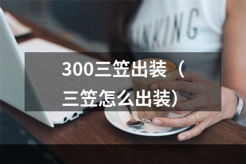 300三笠出装（三笠怎么出装）