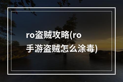 ro盗贼攻略(ro手游盗贼怎么涂毒)