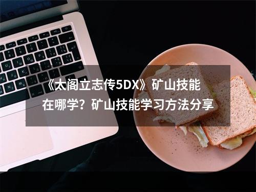 《太阁立志传5DX》矿山技能在哪学？矿山技能学习方法分享