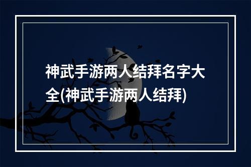 神武手游两人结拜名字大全(神武手游两人结拜)