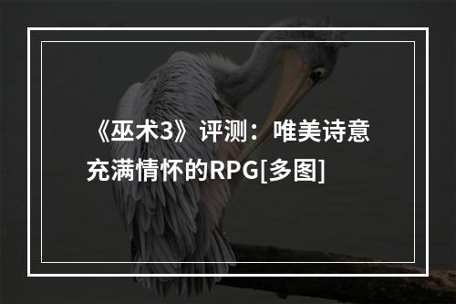 《巫术3》评测：唯美诗意充满情怀的RPG[多图]