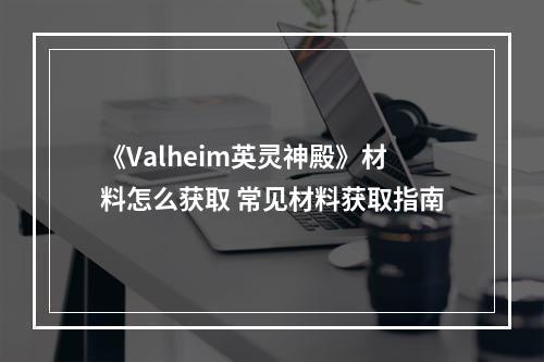 《Valheim英灵神殿》材料怎么获取 常见材料获取指南