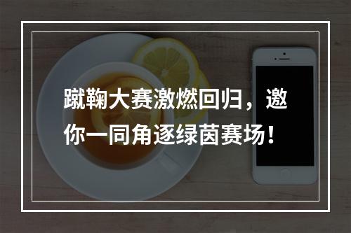 蹴鞠大赛激燃回归，邀你一同角逐绿茵赛场！