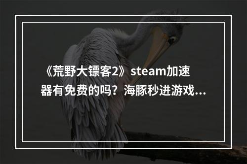 《荒野大镖客2》steam加速器有免费的吗？海豚秒进游戏全程流畅