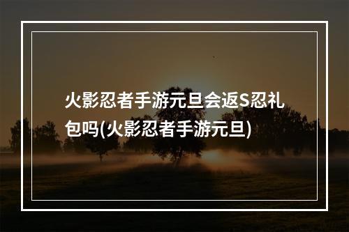 火影忍者手游元旦会返S忍礼包吗(火影忍者手游元旦)