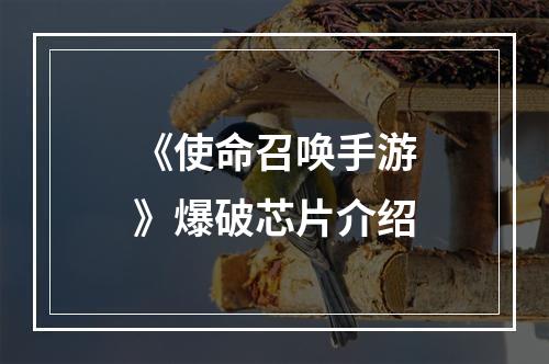 《使命召唤手游》爆破芯片介绍