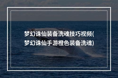 梦幻诛仙装备洗魂技巧视频(梦幻诛仙手游橙色装备洗魂)