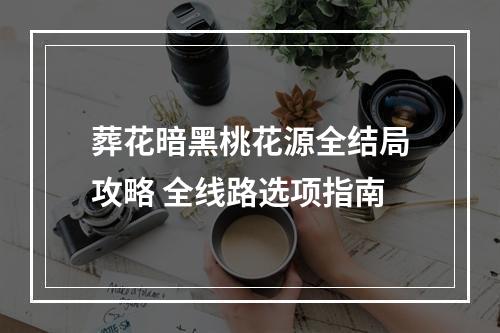 葬花暗黑桃花源全结局攻略 全线路选项指南