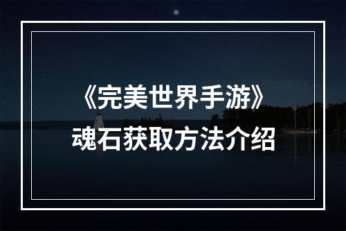 《完美世界手游》魂石获取方法介绍